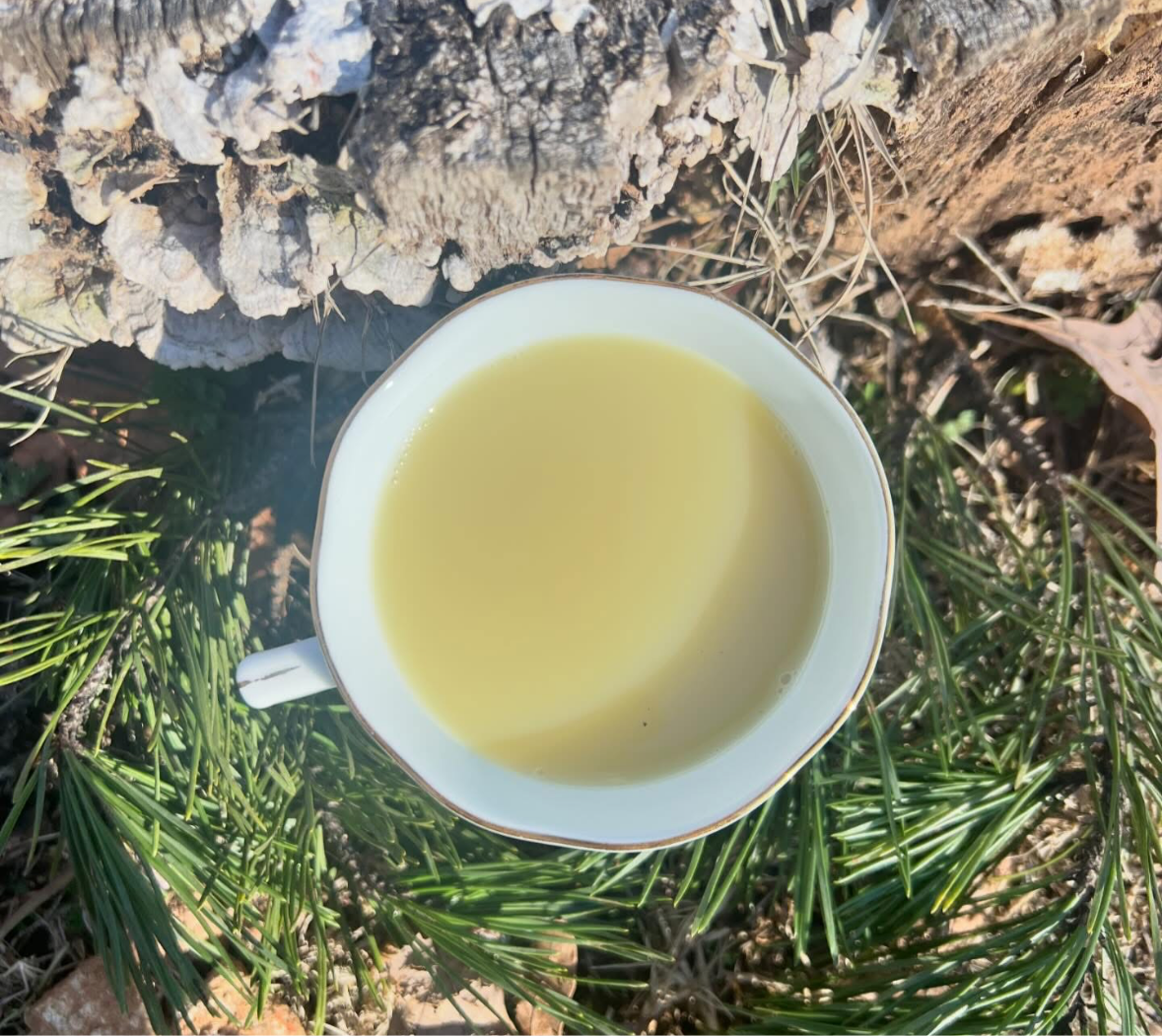 Recovery Tea